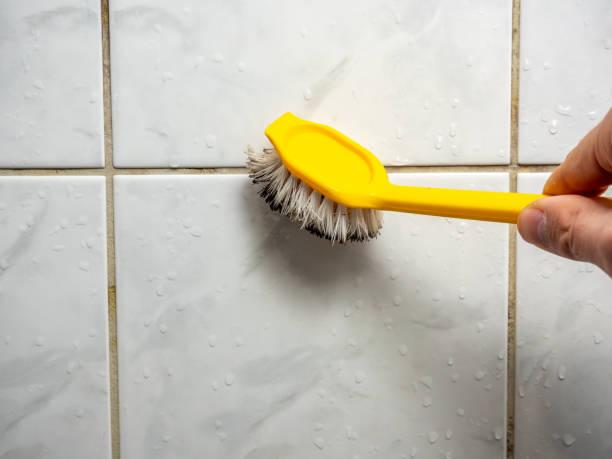 Best Kitchen Mold Remediation in Lago Vista, TX