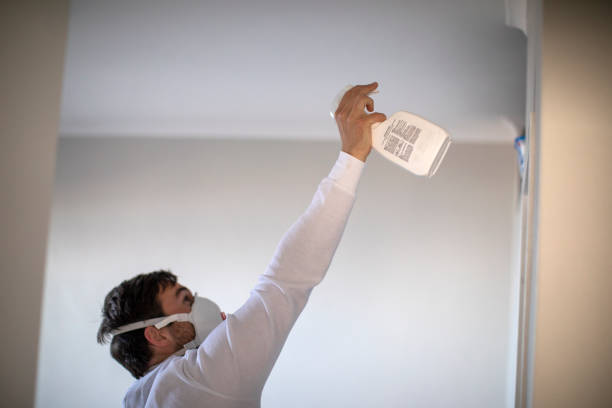 Best Black Mold Remediation in Lago Vista, TX