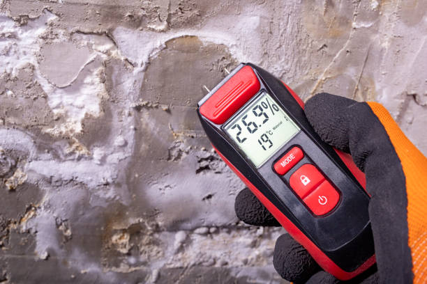 Best Insurance-Related Mold Remediation in Lago Vista, TX